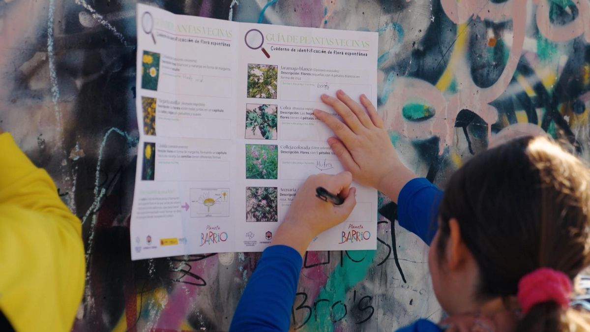 Alumnos del colegio Séneca descubren el ‘tesoro’ verde que crece en los descampados