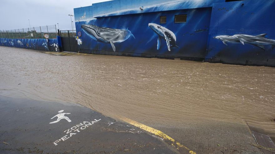 En la imagen, una zona peatonal del municipio de Moya.