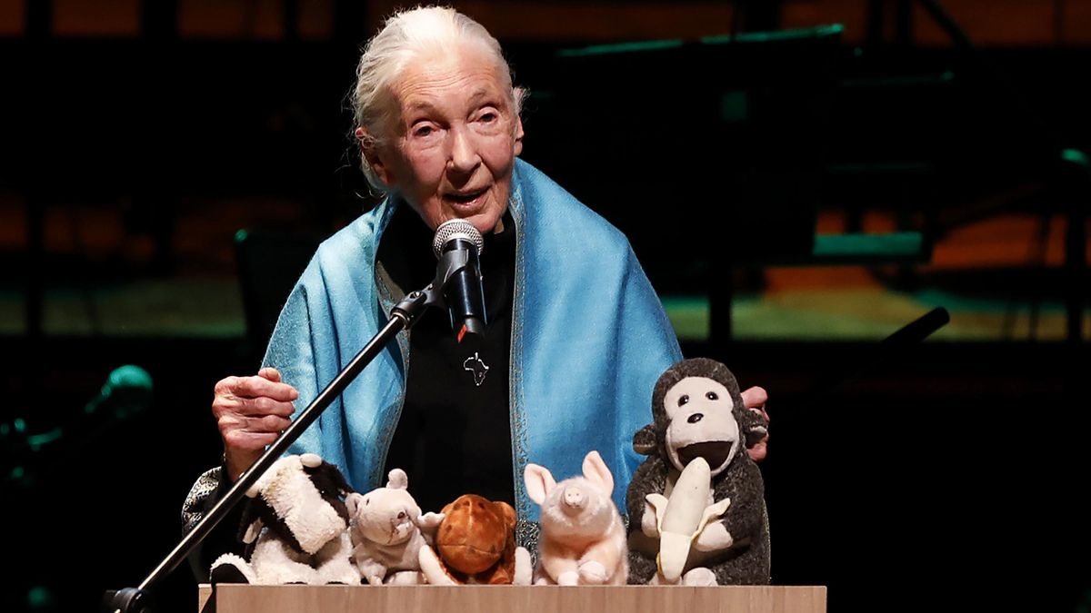 La primatóloga británica Jane Goodall