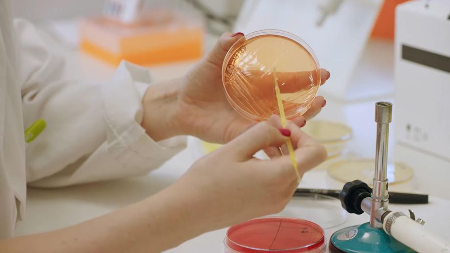 España, un país que desprecia a la ciencia