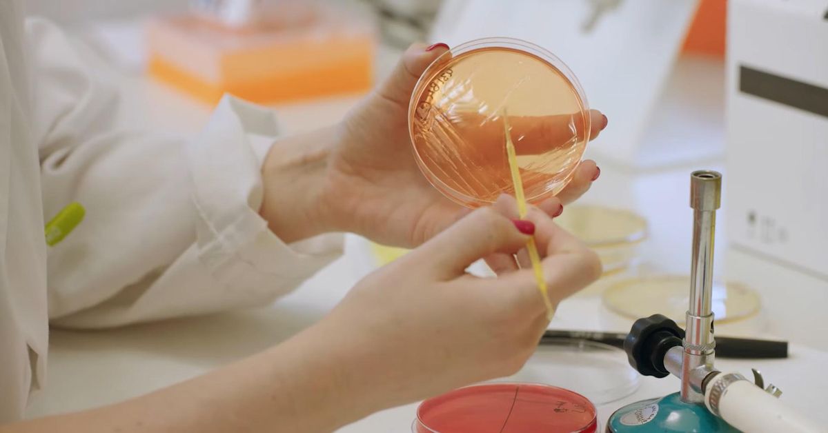 España, un país que desprecia a la ciencia