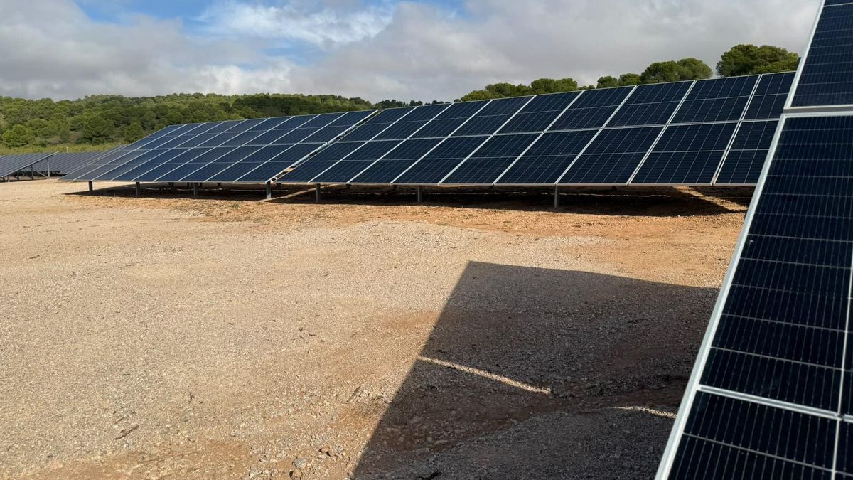 El Ministerio de Agricultura entrega obras de regadíos en Albacete que modernizan 4.389 hectáreas para 566 agricultores
