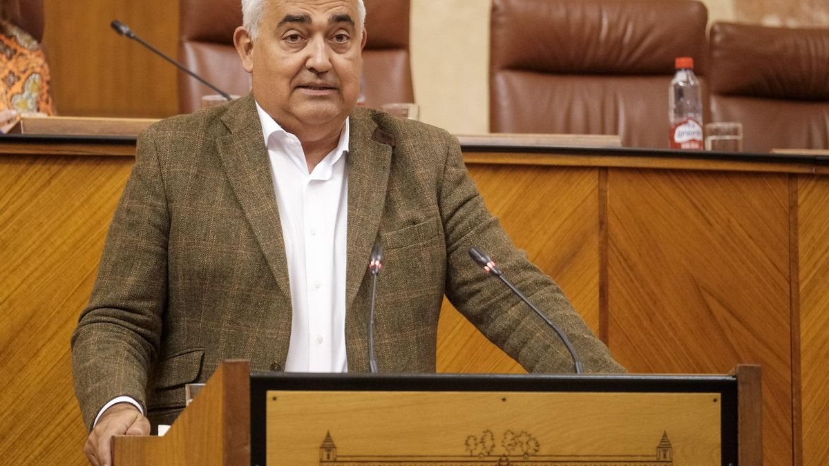 El parlamentario del PSOE-A Antonio Ramírez de Arellano, en el Pleno del Parlamento.