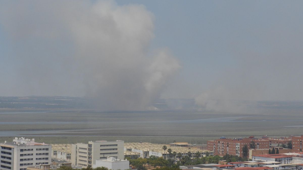 Expertos alertan del "peligro" de respirar humo del incendio de Marismas del Burro, zona de "máximo valor"