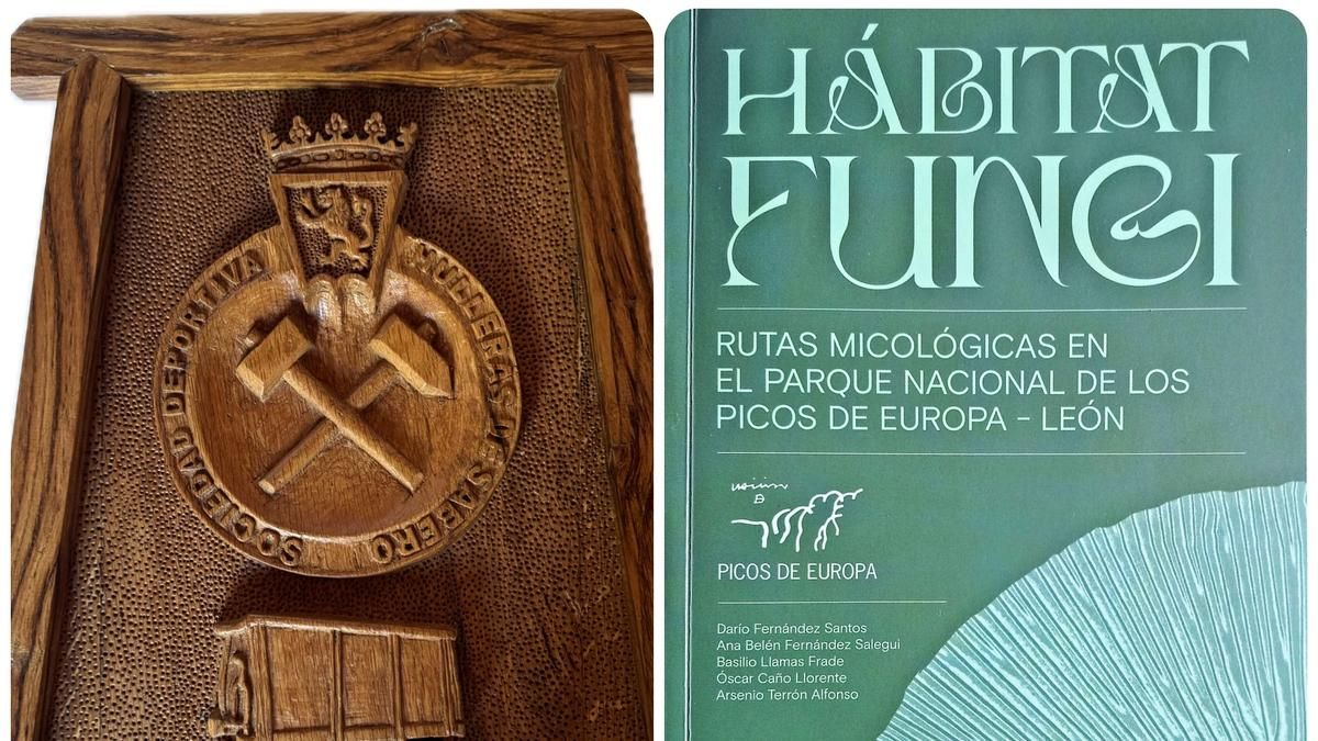 El Museo de Sabero expone un escudo de la Sociedad Deportiva Hulleras y recomienda un libro de rutas micológicas