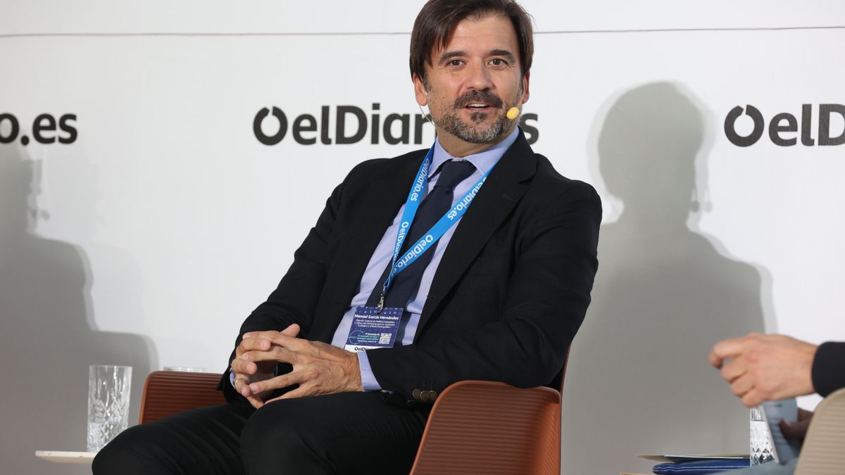 Luís Velasco, director de Apoyo al Desarrollo de Instalaciones de Red Eléctrica