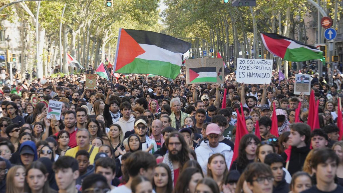 Un cuarto de las vulneraciones del derecho a la protesta en 2025 fueron durante las movilizaciones por Palestina