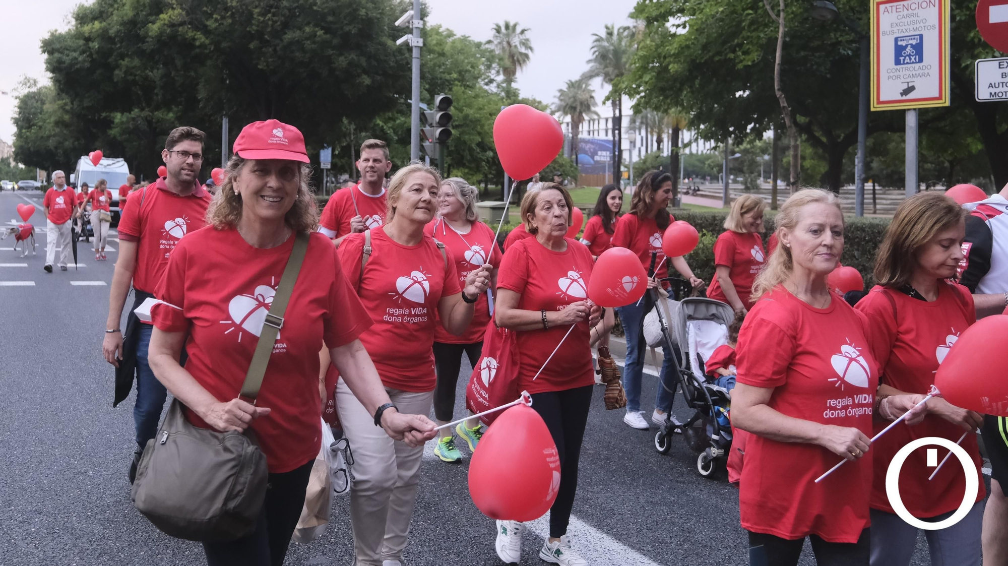 Marcha por la Donación de órganos.