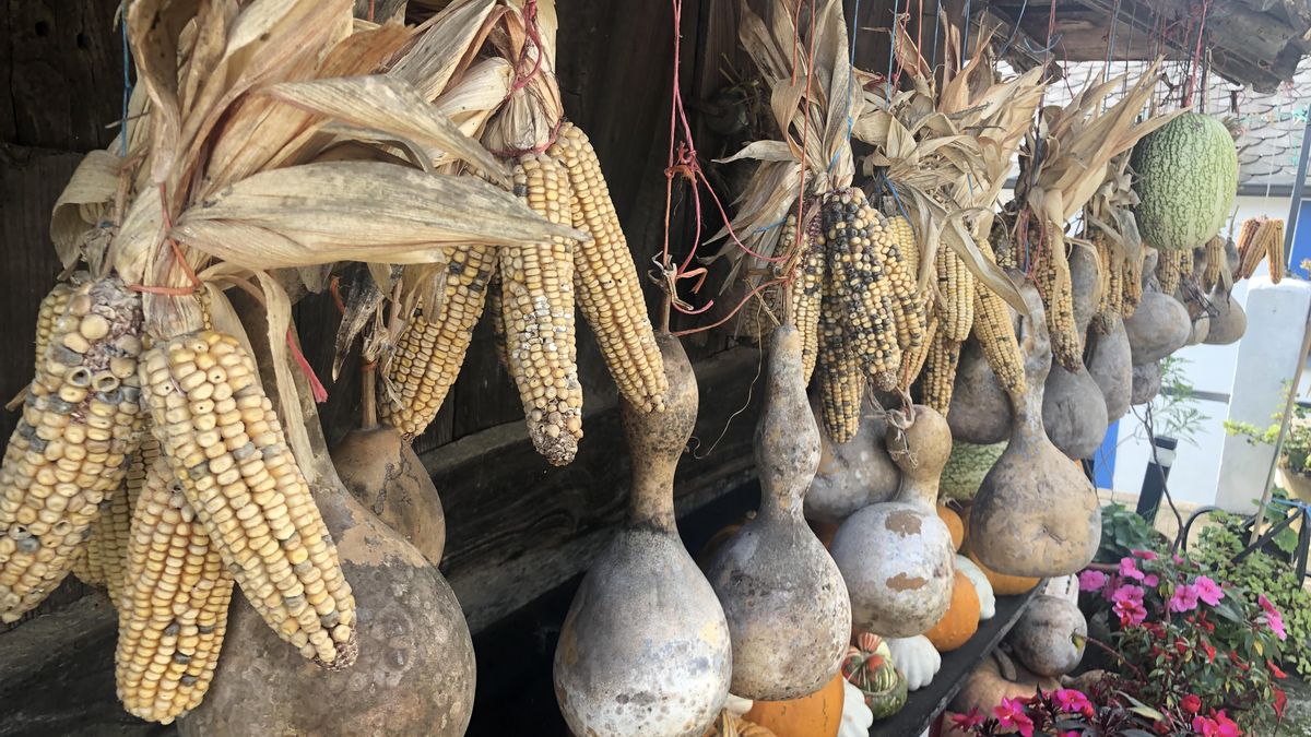 Maixeira, una oferta etnogastronómica en torno al maíz en el Parque Histórico del Navia