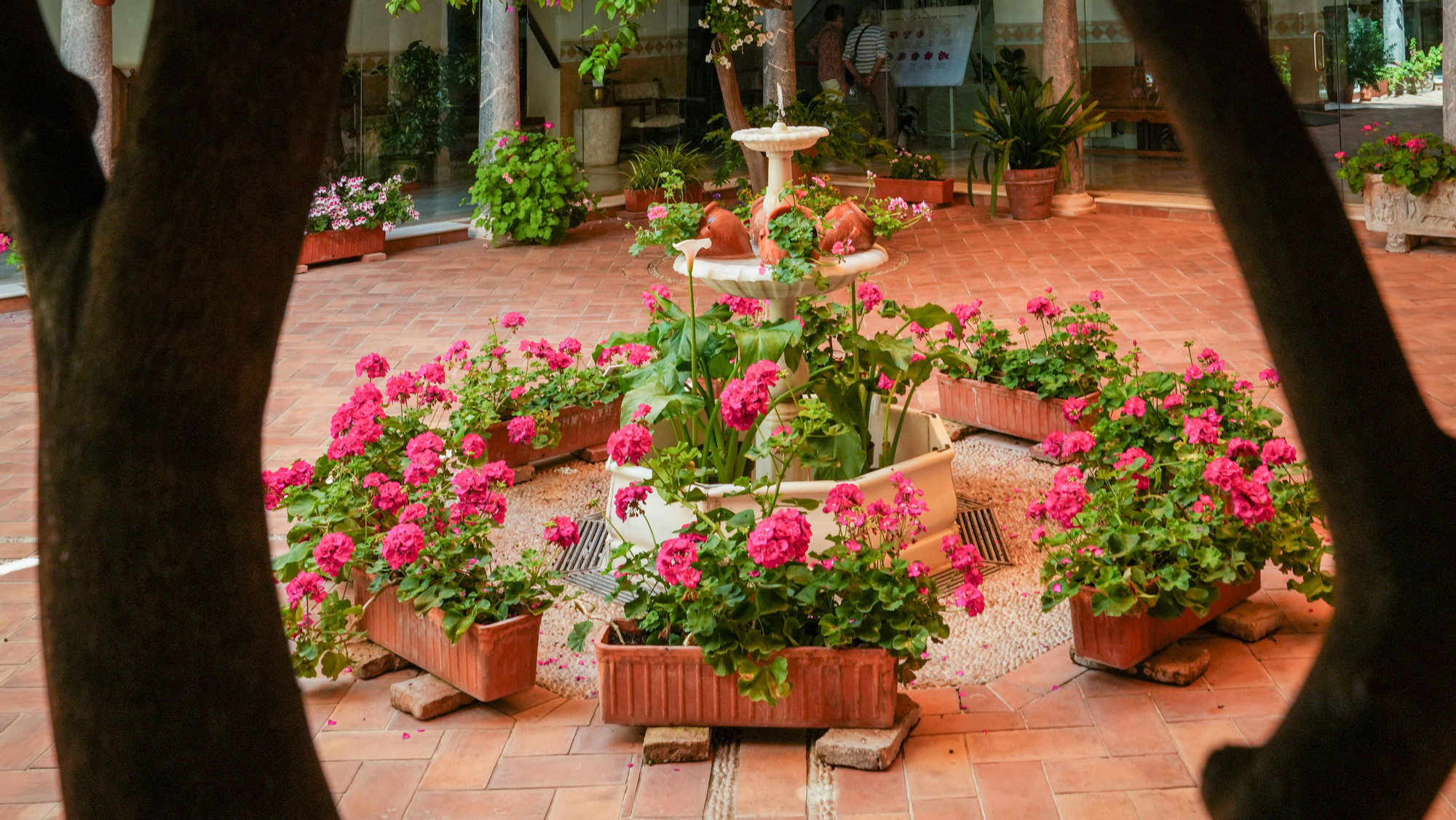 Patios 2026 Ruta 4 - Plaza de las Cañas, 3