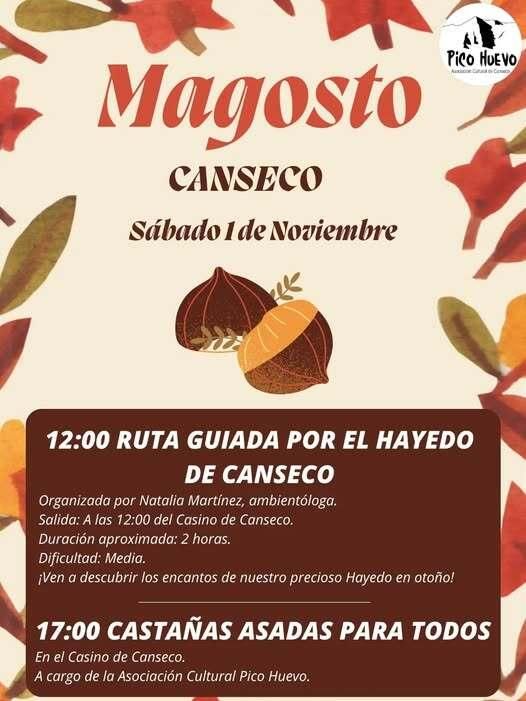 Programa del magosto de Canseco.