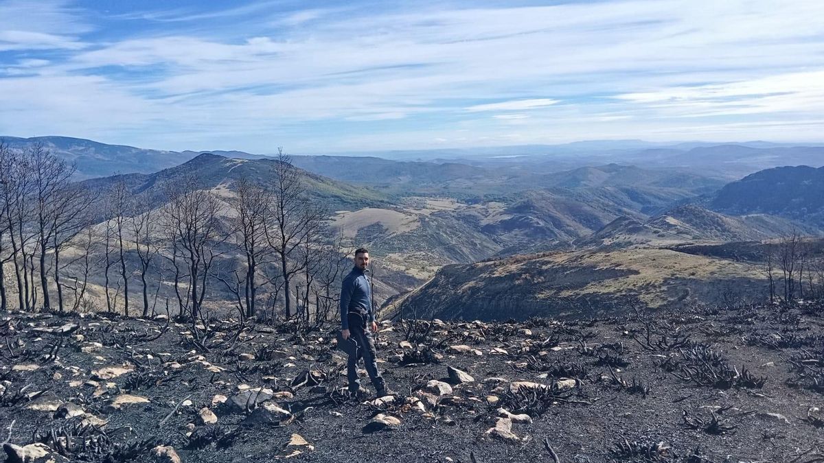 David Beltrán, sobre el terreno arrasado por un incendio el verano de 2025.