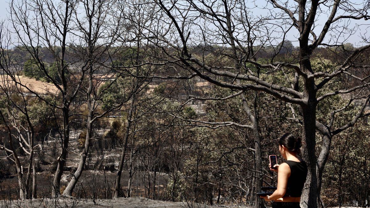 Un nuevo sistema de satélites permitirá seguir la evolución de incendios en tiempo real