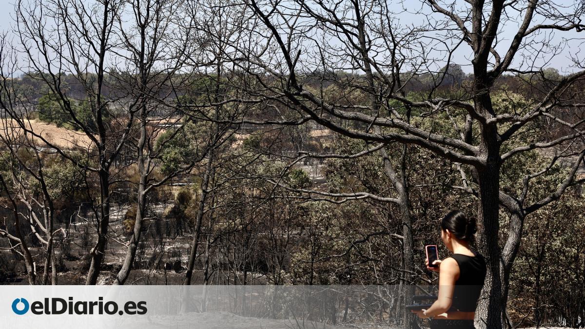 Un nuevo sistema de satélites permitirá seguir la evolución de incendios en tiempo real