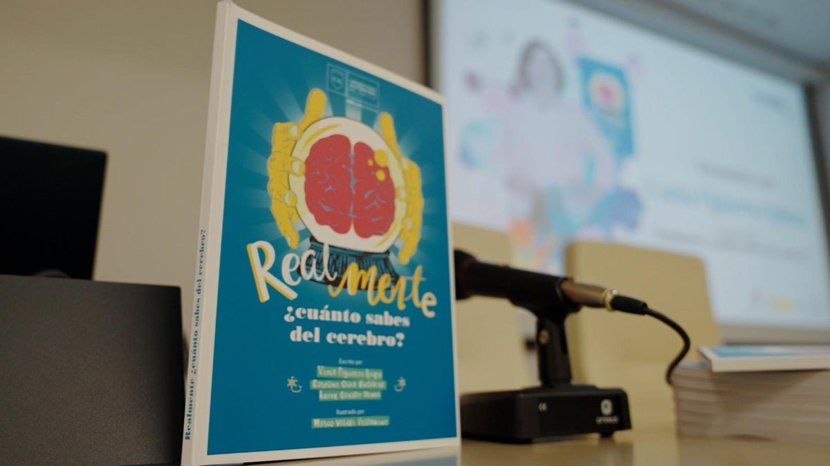 Realmente ¿cuánto sabes del cerebro?