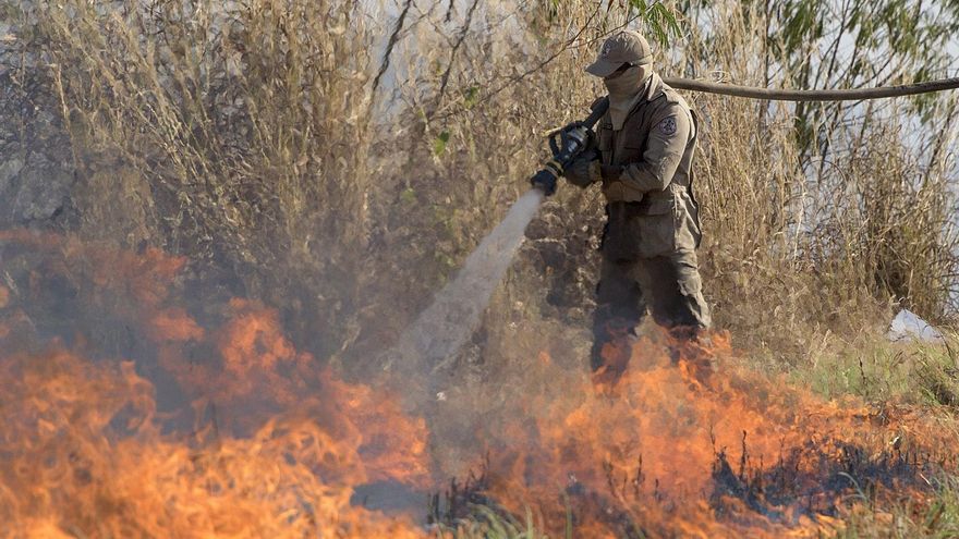 Las alertas de deforestación en la Amazonía caen un 33,7 % en septiembre