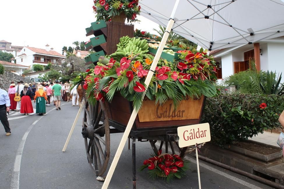 Romería de Teror (ALEJANDRO RAMOS)