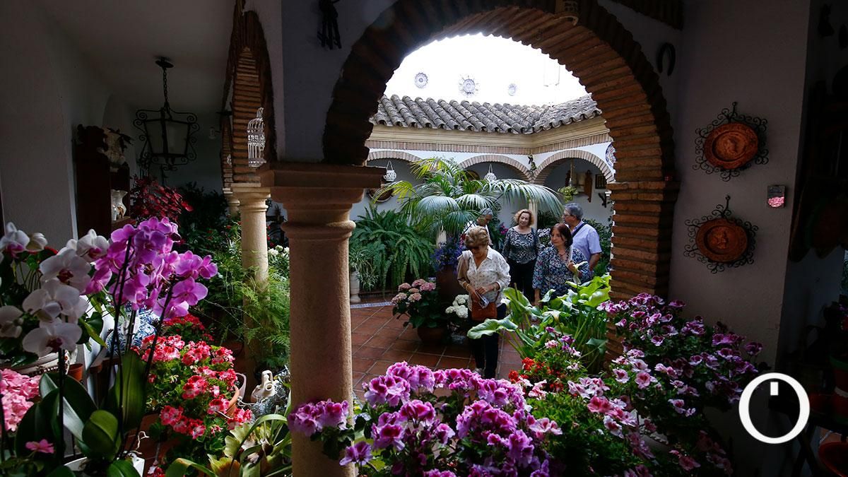 Patio Zarco, 15 - 2022