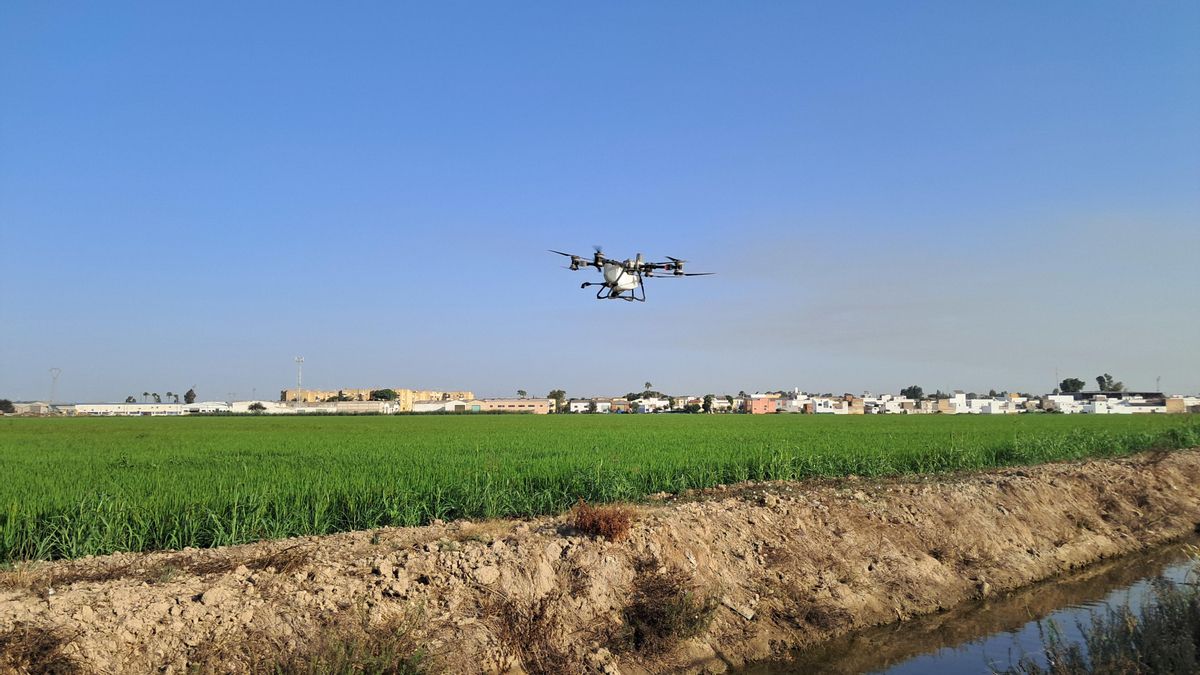 La Policía intercepta un dron volando sin permisos alrededor de la cárcel de Logroño durante el eclipse