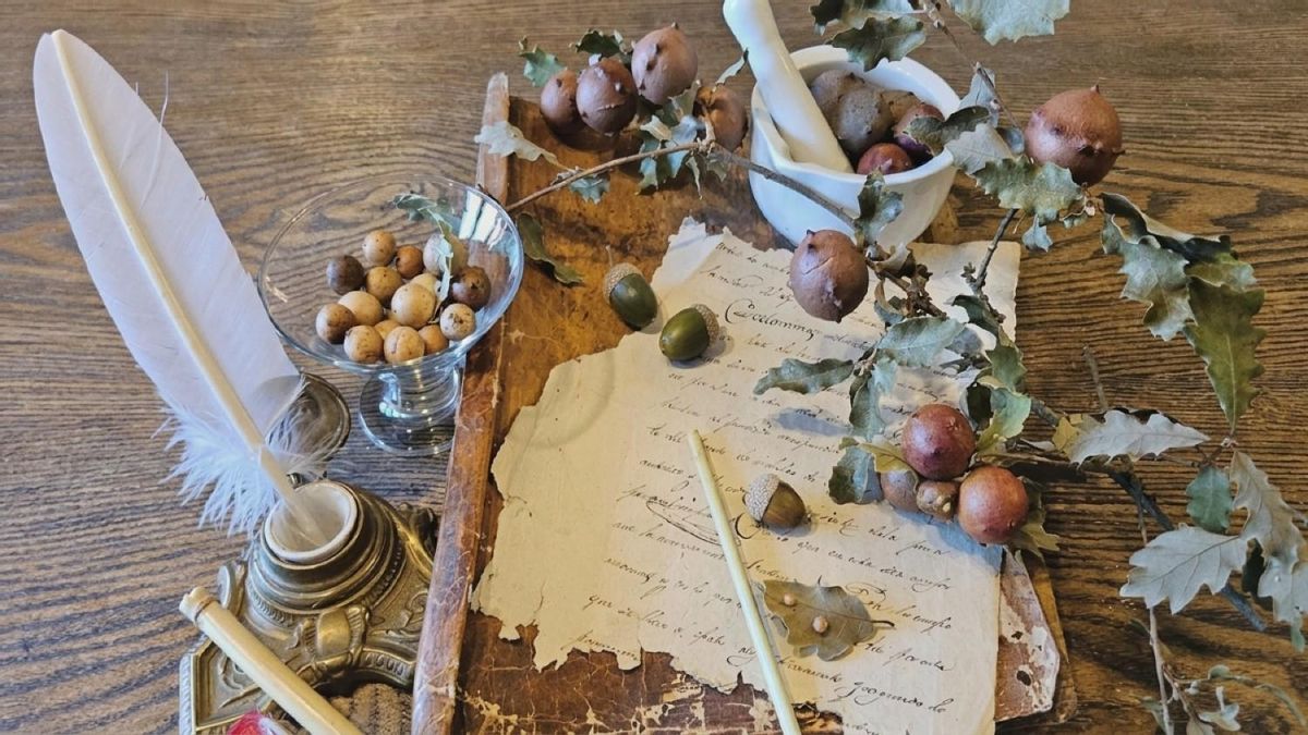 La Casona de San Feliz acoge 'El bosque en el tintero', jornadas sobre la tinta ferrogálica en Europa hasta el siglo XX