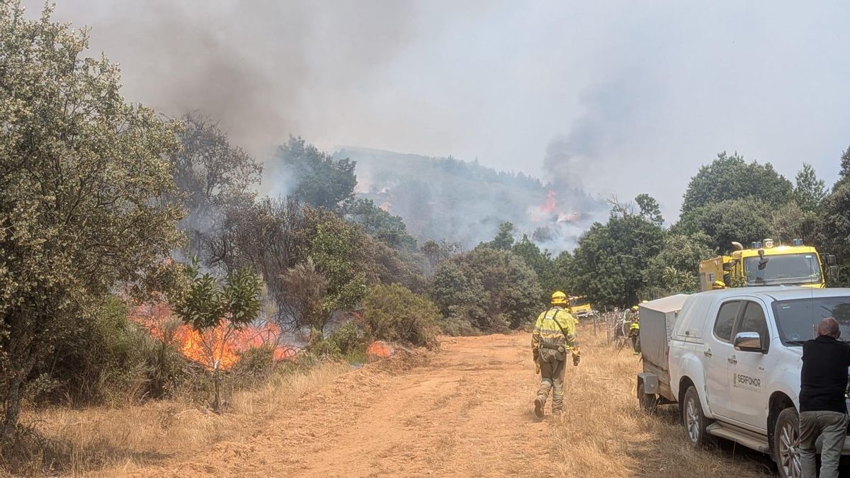El incendio de Veguellina se mantiene en nivel medio de peligro, mientras el resto de fuegos se dan por controlados