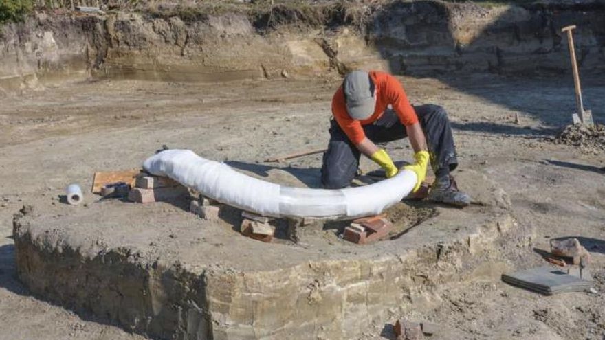 Baviera saca a la luz un mamut descuartizado por humanos y el hallazgo cambia la lectura de su desaparición