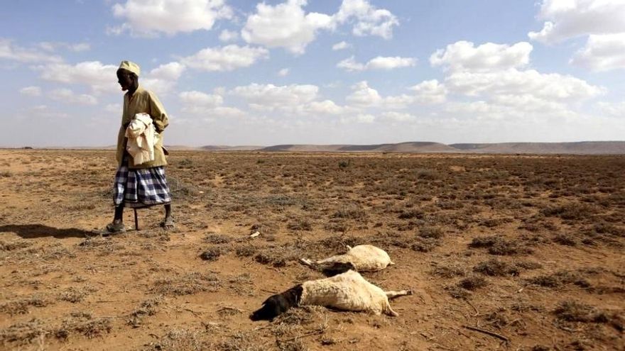 El cambio climático amenaza la supervivencia de millones de africanos, advierte la ONU
