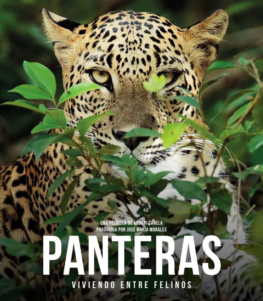 El cartel de la película