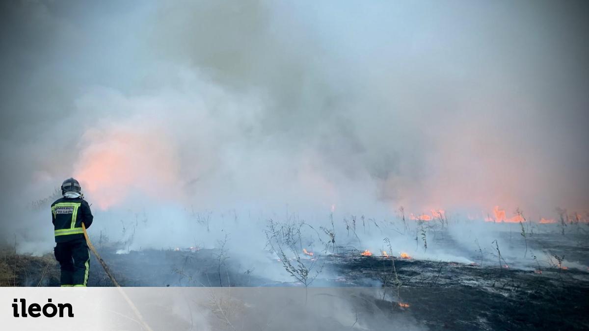 La Junta declara la alarma por riesgo de incendios forestales hasta el ...
