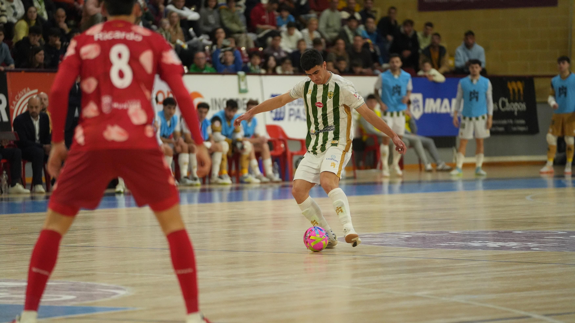 Las imágenes del Córdoba Patrimonio - ElPozo Murcia