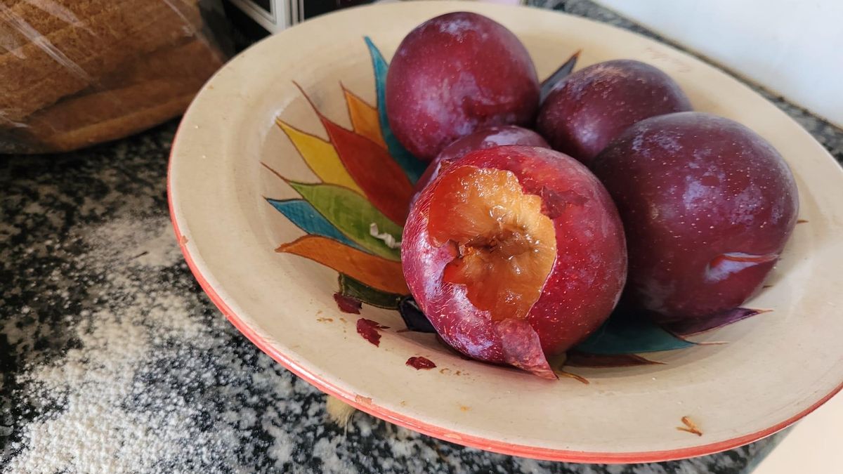 Ratas comefrutas. Parte I