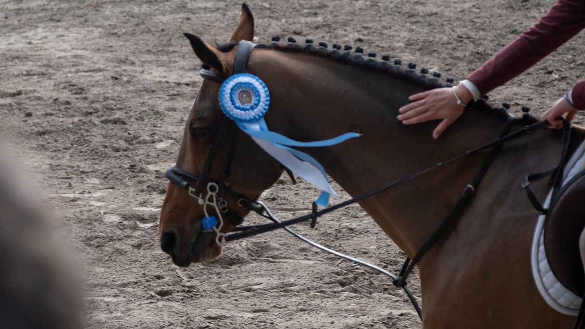 Foto de referencia. La familia de Brunello siempre estuvo cerca de los caballos. Durante los años 90, lo que era un hobby de su padre, la equitación, se convirtió en el negocio familiar que los sacó a flote económicamente con un establecimiento ecuestre.