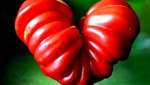 Foto: NutritionFacts.org