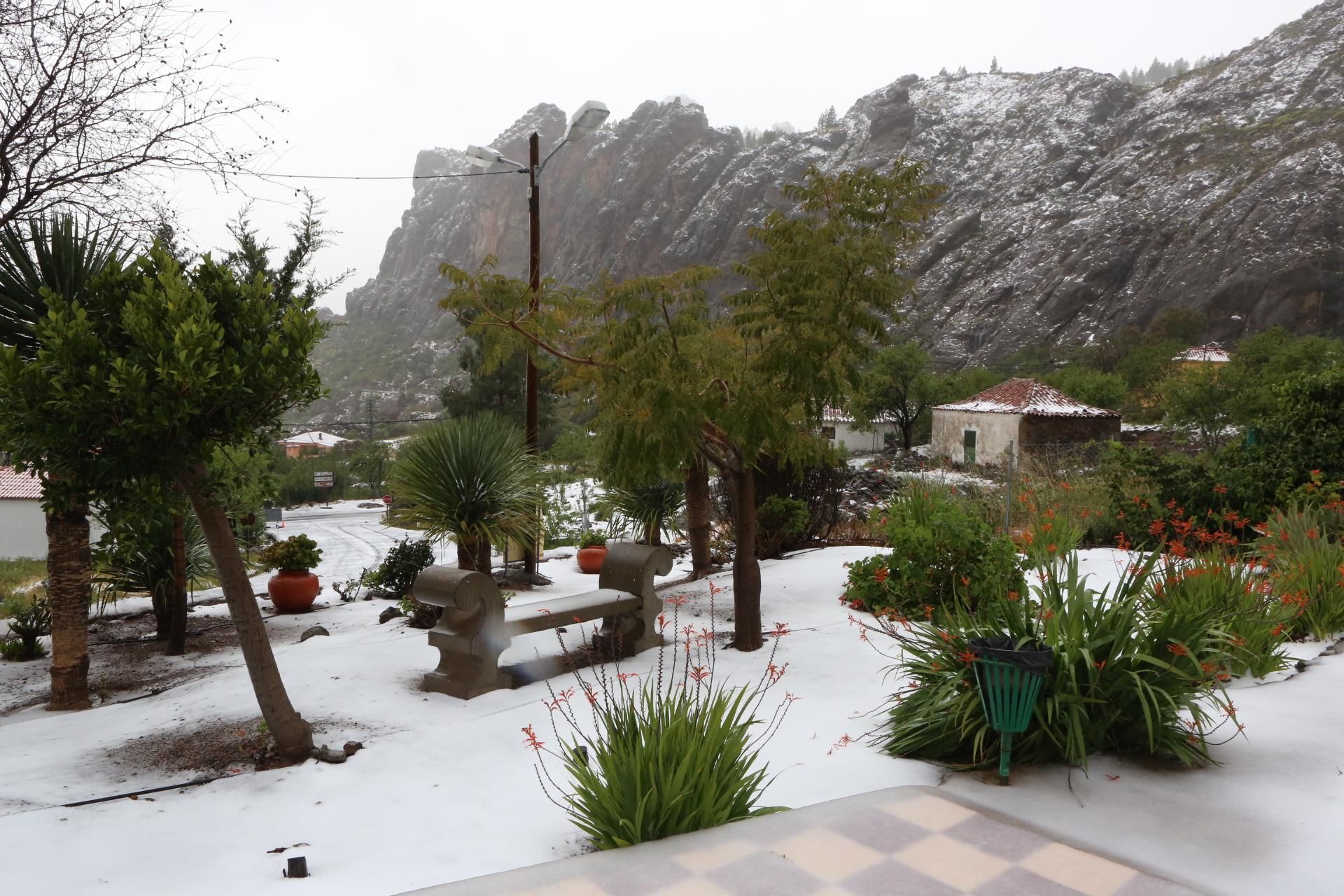 Nieve en Ayacata  (ALEJANDRO RAMOS)