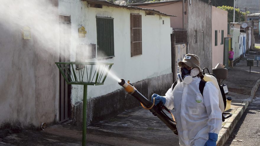 Los 10 mitos sobre dengue, zika y chikungunya