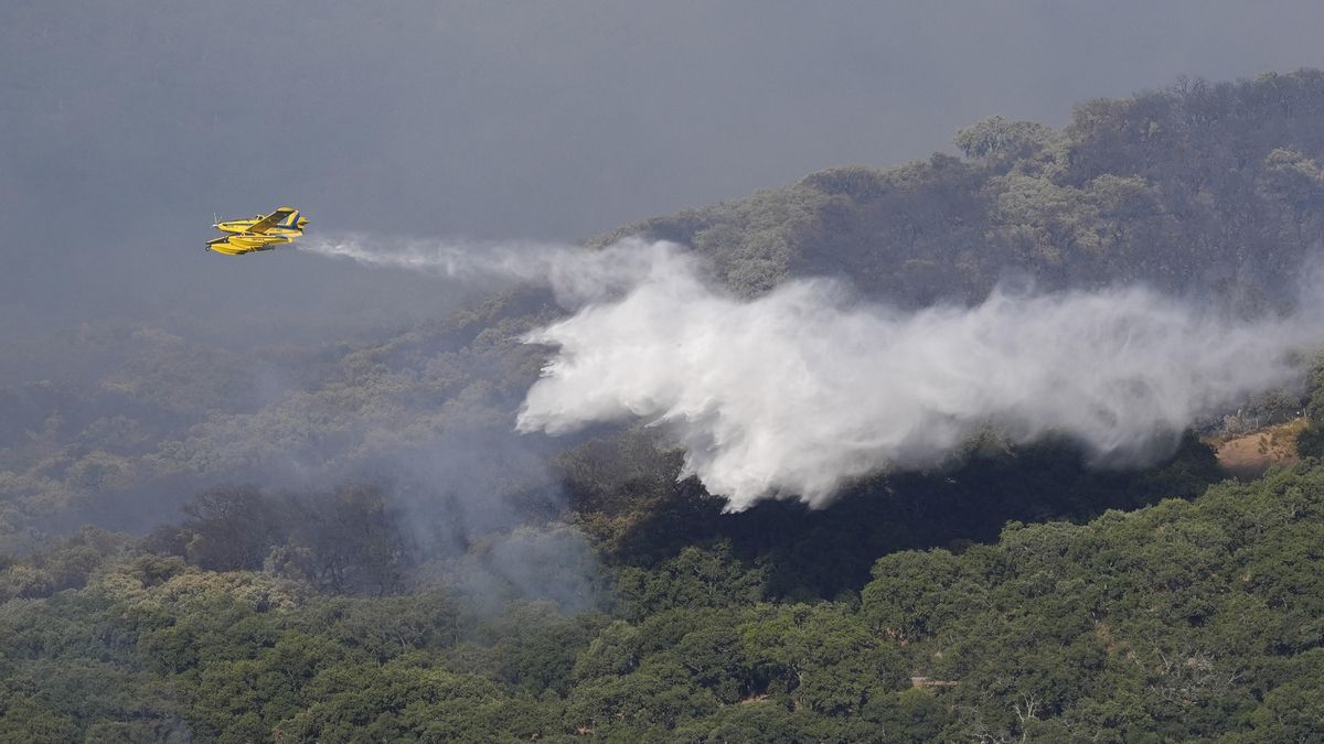 Medios aéreos del Plan Infoca trabajan en las labores de extinción del incendio forestal de Grazalema.