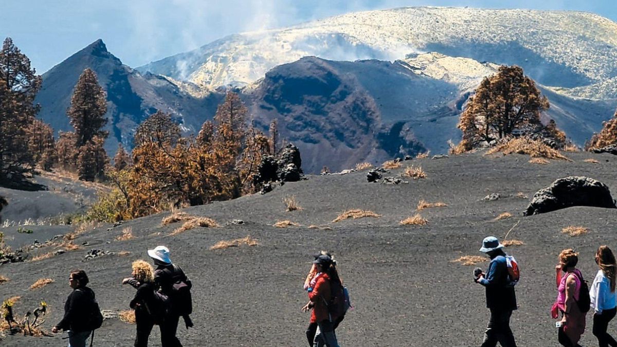 La exposición 'En La Palma de tu mano' en el Parlamento de canarias recuerda la solidaridad tras el volcán  Tajogaite