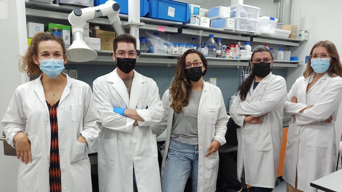 El laboratorio de la empresa Biomedal.