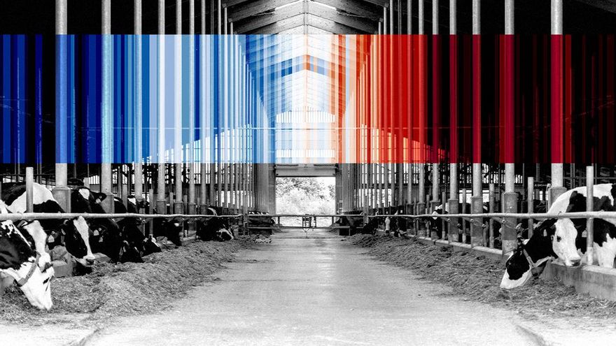 La industria de la carne lleva años pagando a científicos y universidades para bloquear políticas climáticas