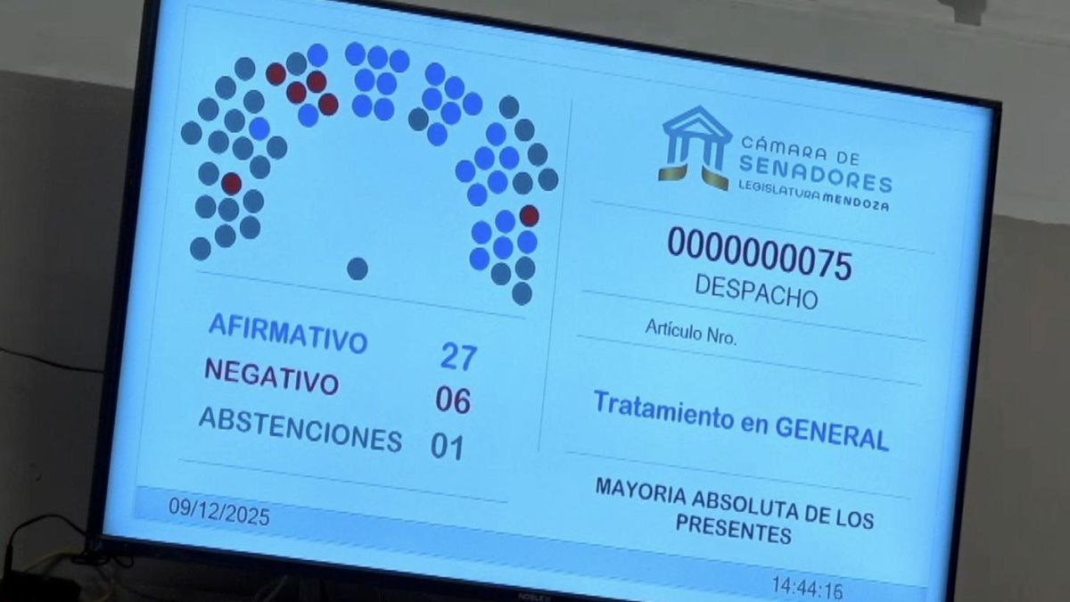 Mendoza aprobó la megaminería de cobre pese a las advertencias por la contaminación del agua