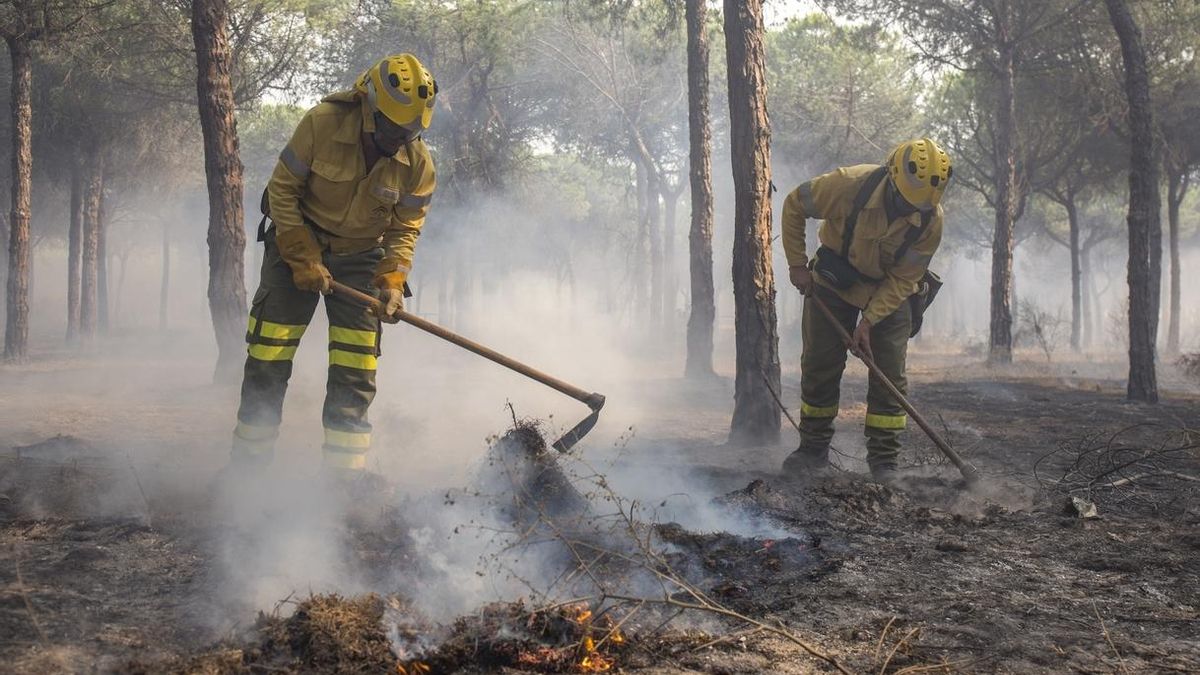 El informe por el incendio de Moguer afirma que la carbonería intentó con "maquinaria pesada ocultar evidencias"