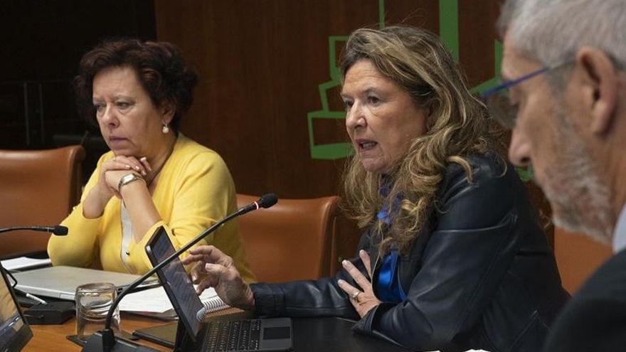 Una magistrada afea al Gobierno vasco que pretenda privatizar la Sanidad pública sin pasar por el Parlamento