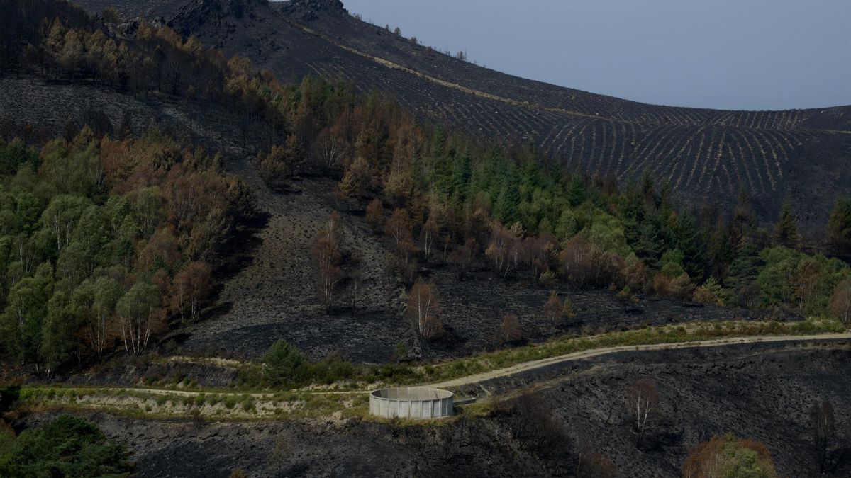 Alcaldes de zonas afectadas por fuegos en Ourense avisan del arrastre de ceniza: "El Sil baja chocolate puro"