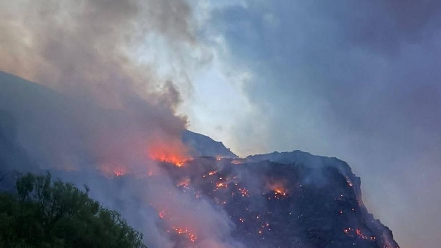 Patagonia: el trabajo silencioso de rescatistas para salvar a los animales de los incendios