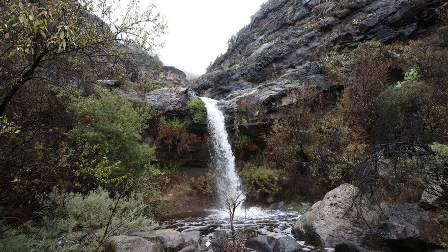 El agua cayendo en cascada en la cumbre de Gran Canaria