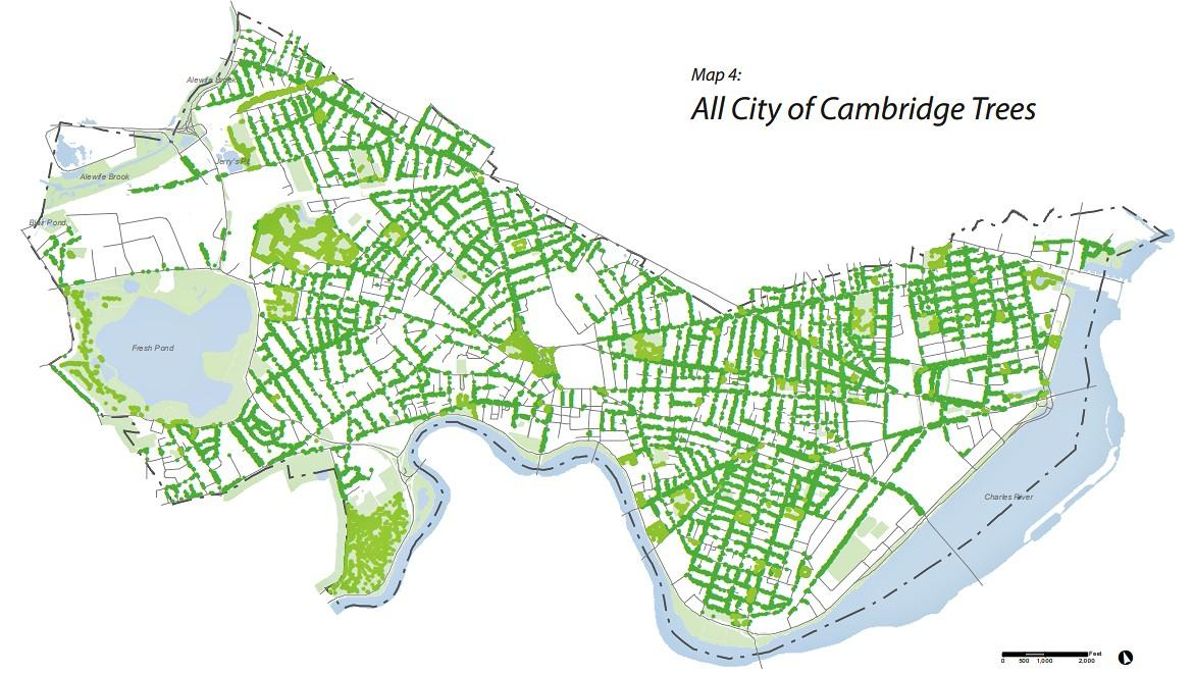 Mapa de calles con árboles y espacios públicos verdes como parques en la ciudad americana de Cambridge.