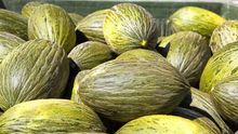 Melón de La Mancha