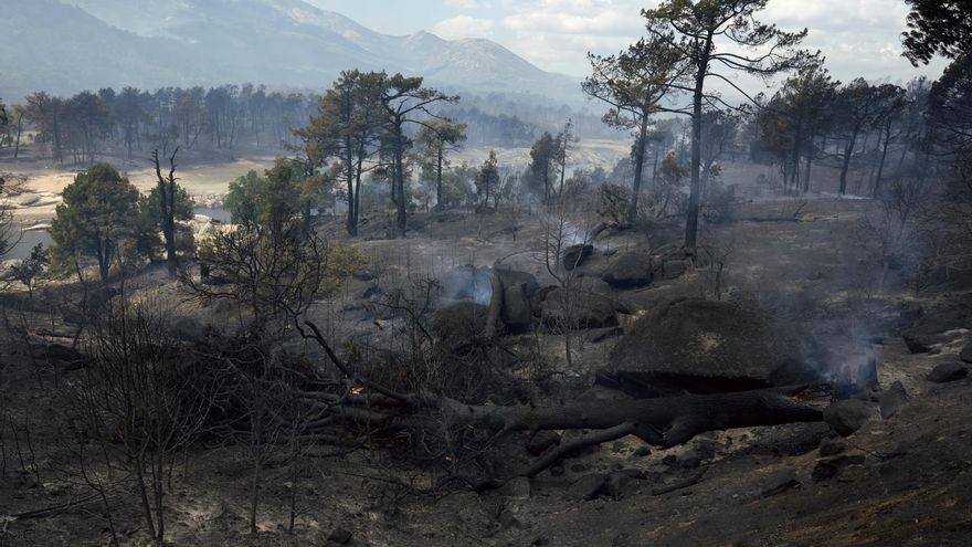 El incendio de Ávila arrasa más de 24.000 hectáreas y deja más de 40.000 desalojados y confinados