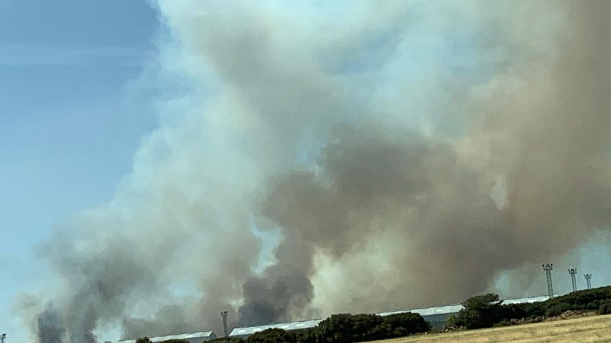 La UME se suma a las labores de extinción del incendio de Barchín del Hoyo