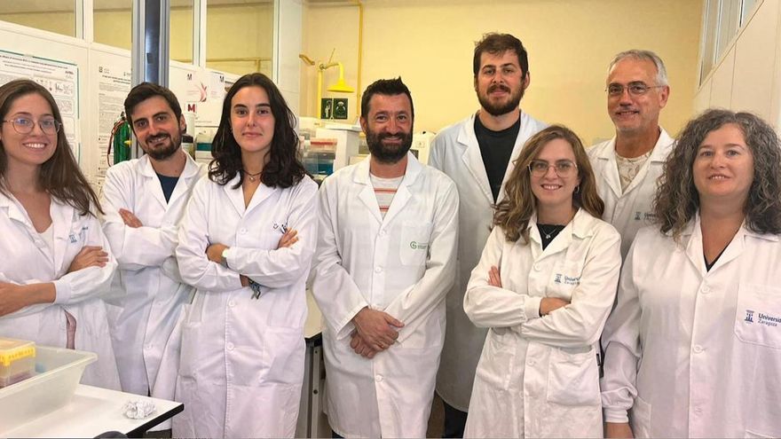 Investigadores de la Universidad de Zaragoza descubren una terapia eficaz frente a tumores de pulmón, basada en la vacuna viva de la tuberculosis